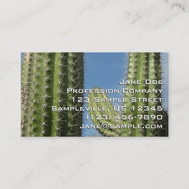 Barrel Cactus I Desert Photo Business Card (Front)