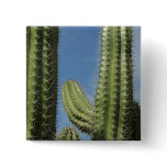 Barrel Cactus I Desert Photo Button