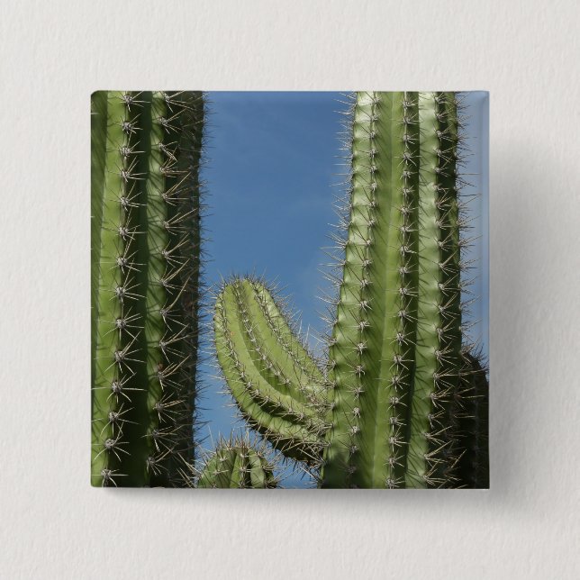 Barrel Cactus I Desert Photo Button (Front)