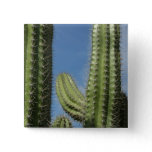 Barrel Cactus I Desert Photo Button