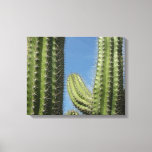 Barrel Cactus I Desert Photo Canvas Print