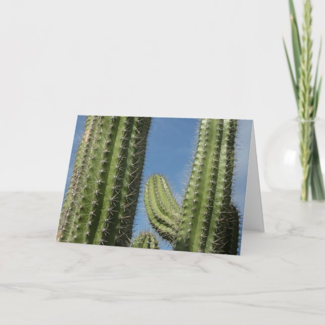 Barrel Cactus I Desert Photo Card (Front)