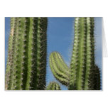 Barrel Cactus I Desert Photo Card