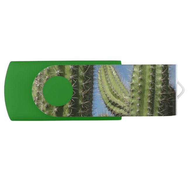 Barrel Cactus I Desert Photo Flash Drive (Front)