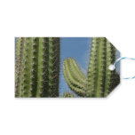 Barrel Cactus I Desert Photo Gift Tags