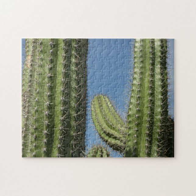 Barrel Cactus I Desert Photo Jigsaw Puzzle (Horizontal)