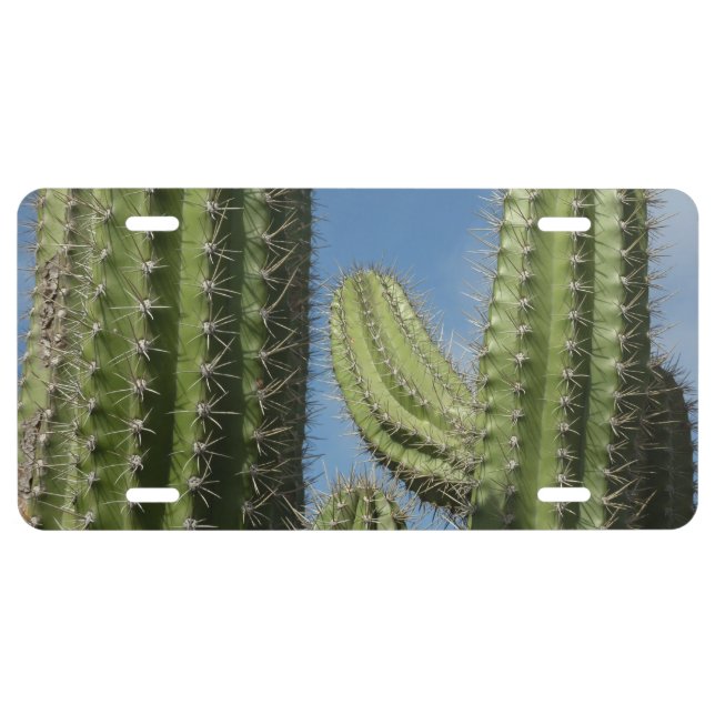 Barrel Cactus I Desert Photo License Plate (Front)
