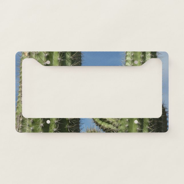 Barrel Cactus I Desert Photo License Plate Frame (Front)