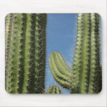 Barrel Cactus I Desert Photo Mouse Pad