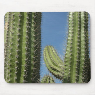 Barrel Cactus I Desert Photo Mouse Pad