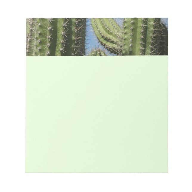 Barrel Cactus I Desert Photo Notepad (Front)