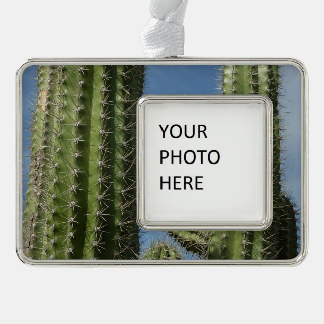 Barrel Cactus I Desert Photo Ornament (Front)