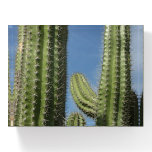 Barrel Cactus I Desert Photo Paperweight