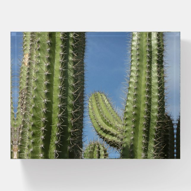 Barrel Cactus I Desert Photo Paperweight (Front)
