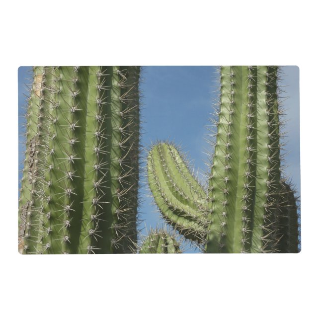 Barrel Cactus I Desert Photo Placemat (Front)