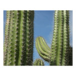 Barrel Cactus I Desert Photo Print