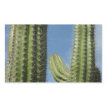 Barrel Cactus I Desert Photo Rectangular Sticker