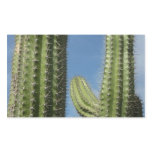 Barrel Cactus I Desert Photo Rectangular Sticker