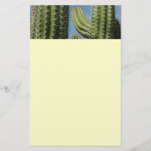 Barrel Cactus I Desert Photo Stationery