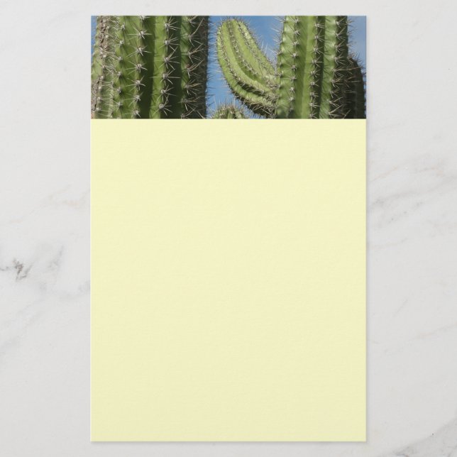 Barrel Cactus I Desert Photo Stationery (Front)