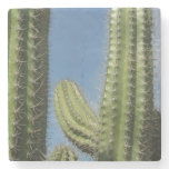 Barrel Cactus I Desert Photo Stone Coaster