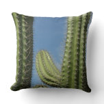 Barrel Cactus I Desert Photo Throw Pillow