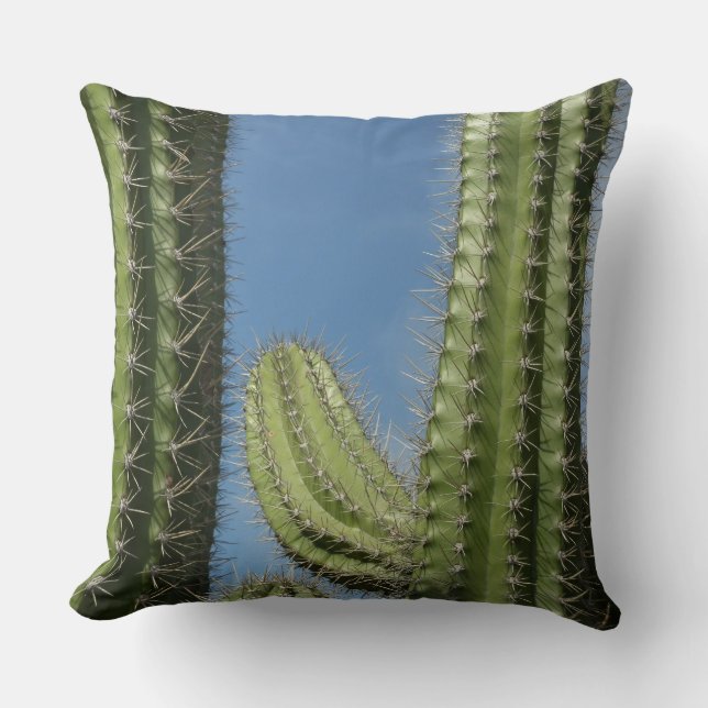 Barrel Cactus I Desert Photo Throw Pillow (Front)
