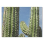 Barrel Cactus I Desert Photo Tissue Paper