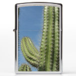 Barrel Cactus I Desert Photo Zippo Lighter