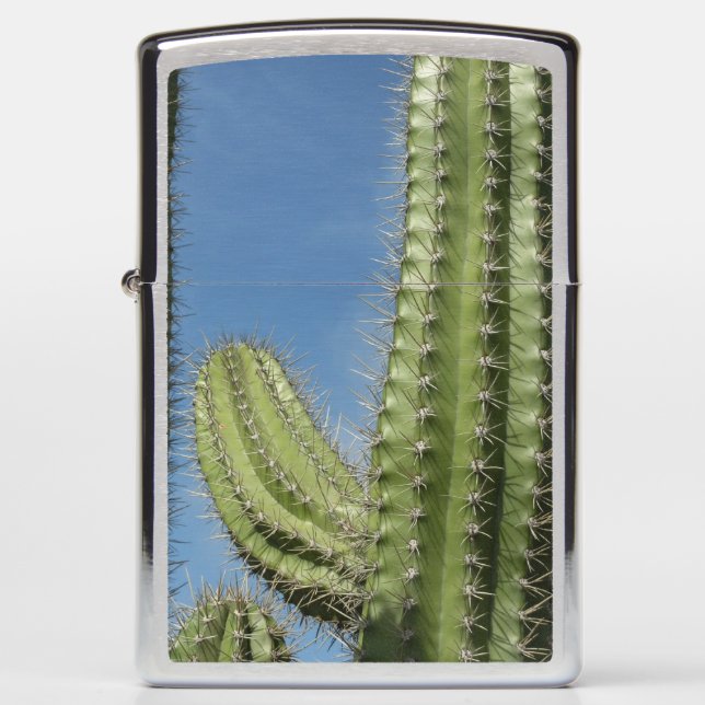 Barrel Cactus I Desert Photo Zippo Lighter (Front)