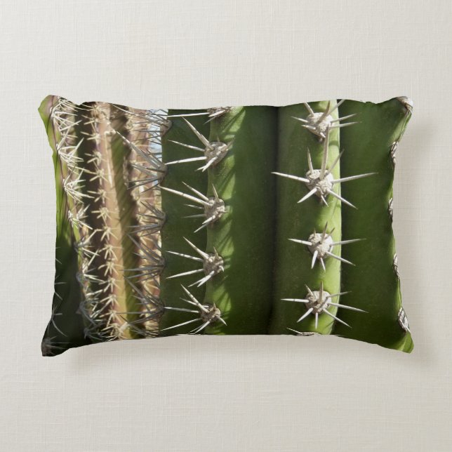Barrel Cactus II Desert Nature Photo Accent Pillow (Front)