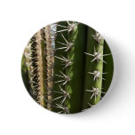 Barrel Cactus II Desert Nature Photo Button