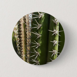Barrel Cactus II Desert Nature Photo Button
