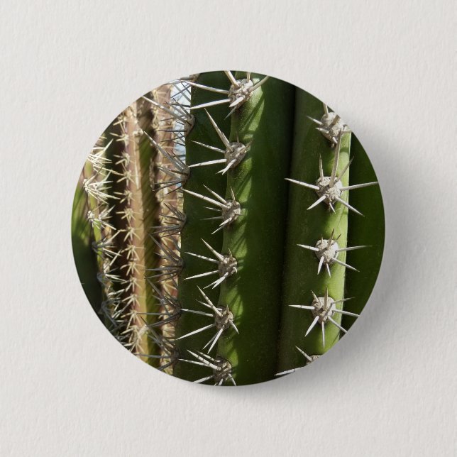 Barrel Cactus II Desert Nature Photo Button (Front)