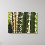 Barrel Cactus II Desert Nature Photo Canvas Print