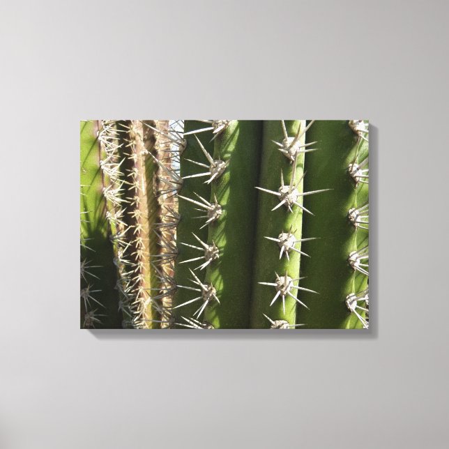 Barrel Cactus II Desert Nature Photo Canvas Print (Front)