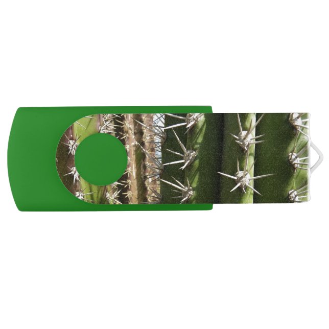 Barrel Cactus II Desert Nature Photo Flash Drive (Front)