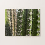 Barrel Cactus II Desert Nature Photo Jigsaw Puzzle