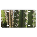 Barrel Cactus II Desert Nature Photo License Plate