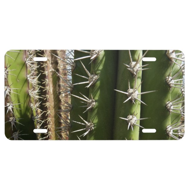 Barrel Cactus II Desert Nature Photo License Plate (Front)