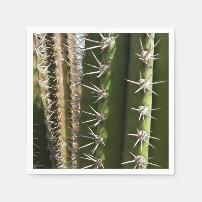 Barrel Cactus II Desert Nature Photo Napkins (Front)