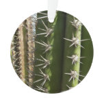 Barrel Cactus II Desert Nature Photo Ornament