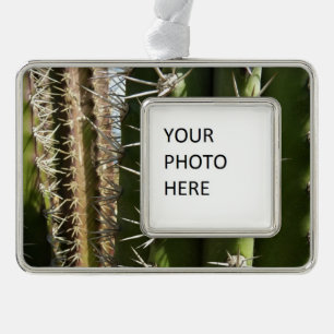 Barrel Cactus II Desert Nature Photo Ornament