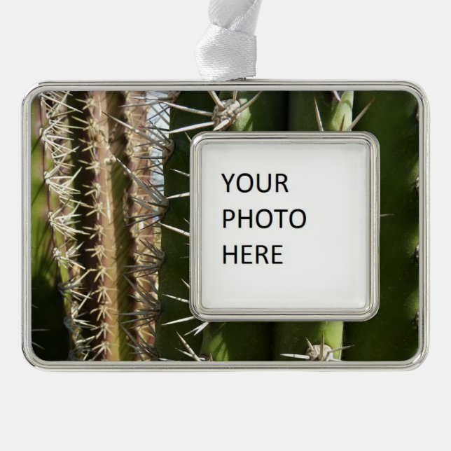 Barrel Cactus II Desert Nature Photo Ornament (Front)