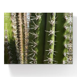 Barrel Cactus II Desert Nature Photo Paperweight