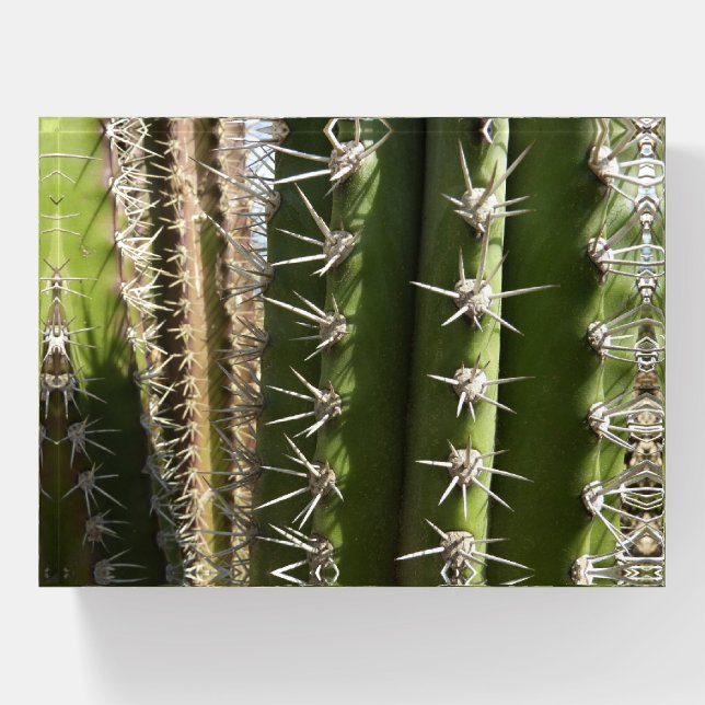 Barrel Cactus II Desert Nature Photo Paperweight (Front)