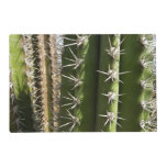Barrel Cactus II Desert Nature Photo Placemat