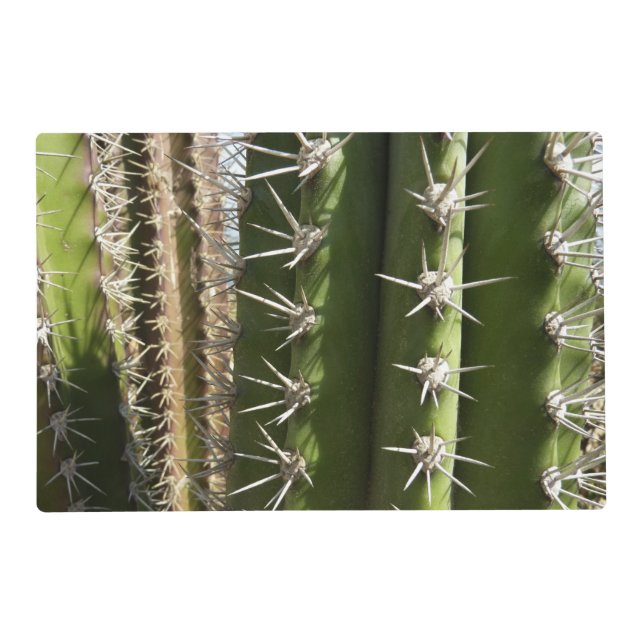 Barrel Cactus II Desert Nature Photo Placemat (Front)