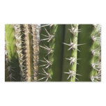 Barrel Cactus II Desert Nature Photo Rectangular Sticker