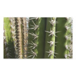 Barrel Cactus II Desert Nature Photo Rectangular Sticker